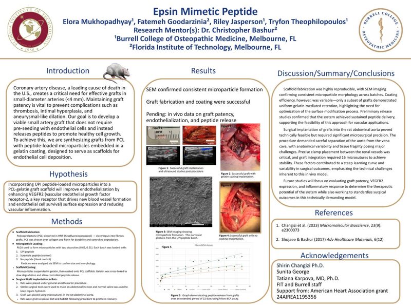 Preview of the 2025 Epsin Mimetic Peptide vascular graft research poster